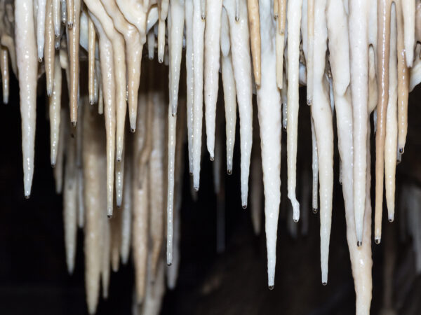 Stalaktyty i stalagmity w Jaskini Niedźwiedziej w Kletnie