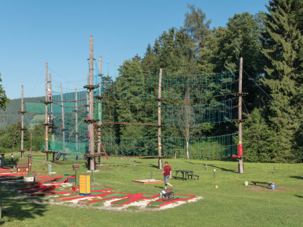 Park linowy w Kletnie - tory linowe wśród drzew
