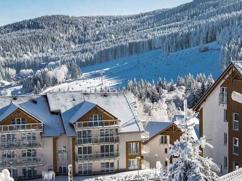 Widok z lotu ptaka na budynki Bormio w Czarnej Górze i stok narciarski