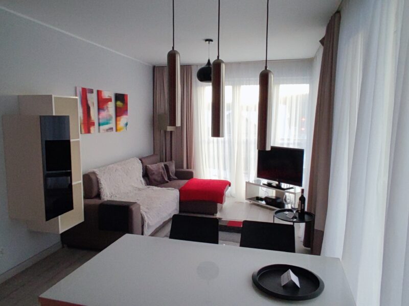 Salon apartamentu Na Skarpie z kanapą, telewizorem i kolorowymi obrazami